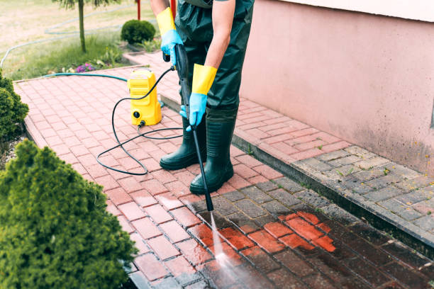 Best Gutter Cleaning  in Golden Triangle, NJ